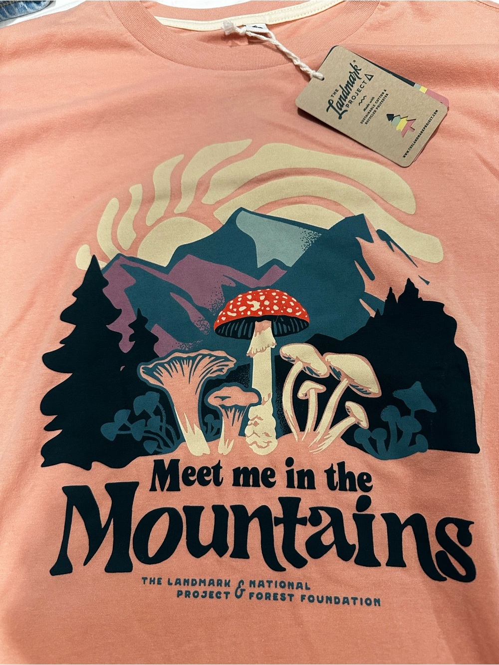 Landmark 'Meet Me in the Mountains' Peach Short Sleeve Tee Medium